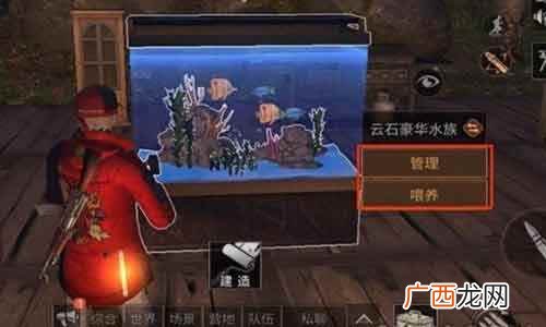 一三五七养鱼法什么意思 一三五七养鱼法