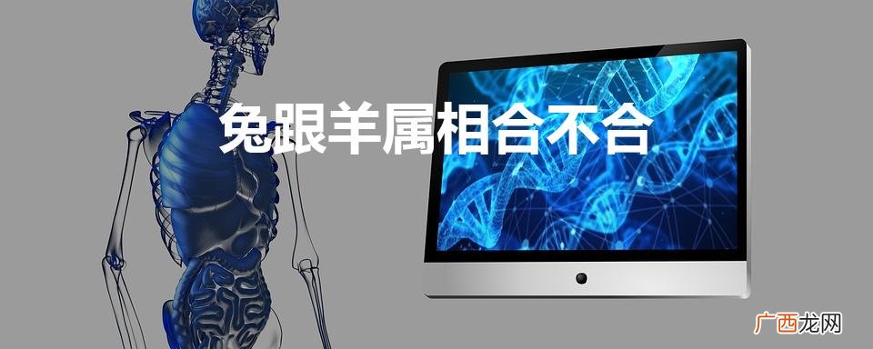 兔跟羊属相合不合财 兔跟羊属相合不合