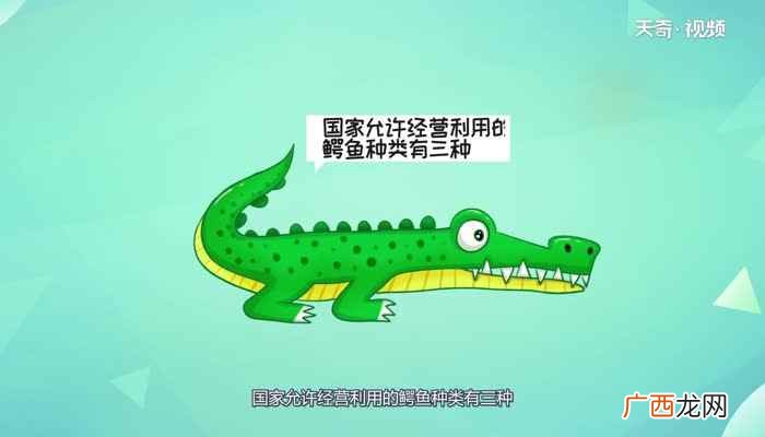 鳄鱼是爬行还是两栖 鳄鱼是两栖动物还是爬行动物