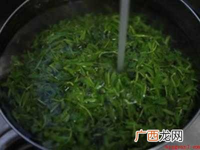 柳芽怎么做好吃的具体操作步骤 柳芽怎么做好吃