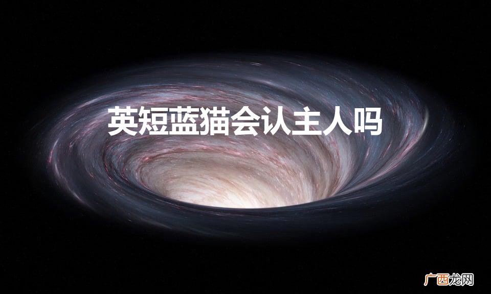 英短蓝猫会认主人吗（英短智商相当于人几岁)
