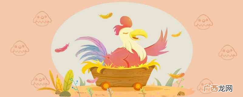 chicken的词汇搭配 chicken可数吗