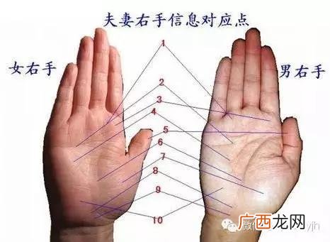 左手为主右手为辅 男生手相是看左手还是右手