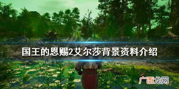 国王的恩赐2艾尔莎背景资料介绍 国王的恩赐2艾尔莎怎么样