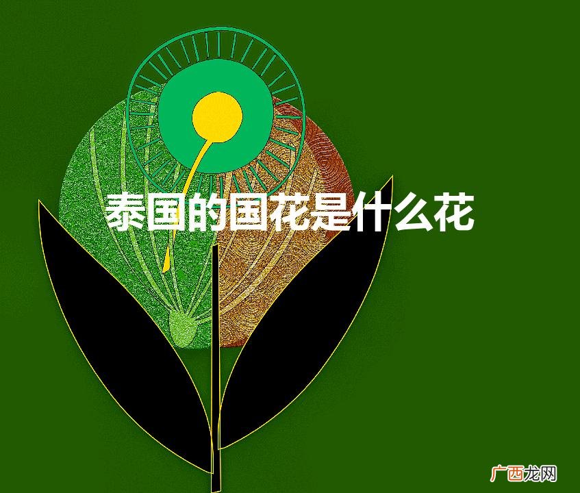 泰国的国花是什么花（泰国的国花是啥)
