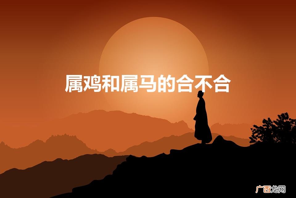 生肖马的和生肖鸡的相配合适吗 属鸡和属马的合不合
