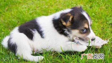 修勾是什么意思