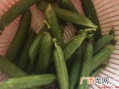 豌豆怎么做好吃 煮熟的具体操作步骤 豌豆怎么做好吃