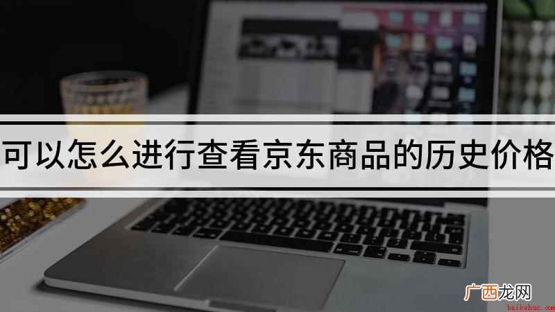 可以怎么进行查看京东商品的历史价格