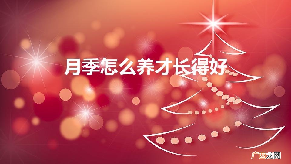 月季怎么养才能长得旺盛 月季怎么养才长得好