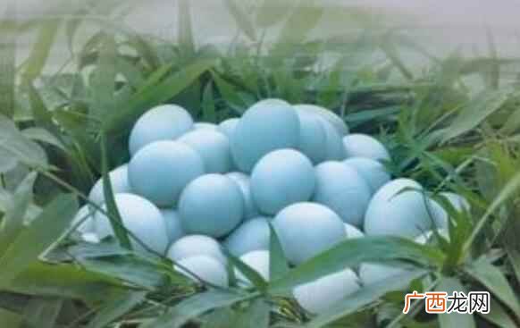鸭蛋不能和什么一起吃