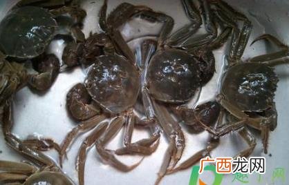 螃蟹怎么洗不用担心被夹手 螃蟹怎么清洗不被夹手