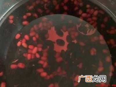 黑豆要泡多久才可以煮的具体操作步骤 黑豆要泡多久才可以煮