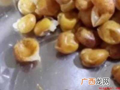 黄皮怎样保存长久的具体操作步骤 黄皮怎样保存长久