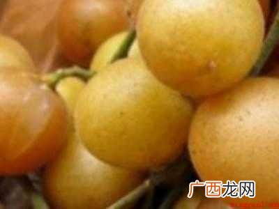 黄皮怎样保存长久的具体操作步骤 黄皮怎样保存长久
