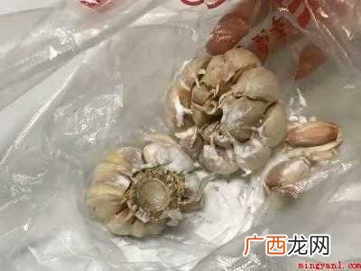 新蒜怎么保存的具体操作步骤 新蒜怎么保存