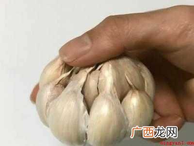 新蒜怎么保存的具体操作步骤 新蒜怎么保存