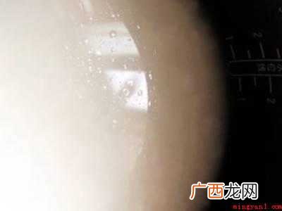 蒸米饭怎么蒸的具体操作步骤 蒸米饭怎么蒸