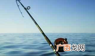 渔具店买鱼竿需要注意哪些问题 新手怎么挑选鱼竿