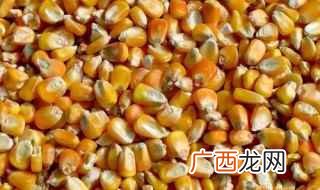 玉米酿酒方法全过程 玉米酿酒方法