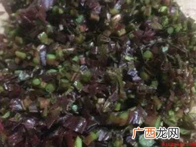 春芽煎蛋怎么做的具体操作步骤 春芽煎蛋怎么做