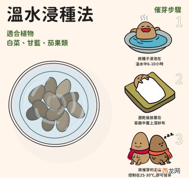 种子催芽过程和操作技术要点 种子催芽的四种方法