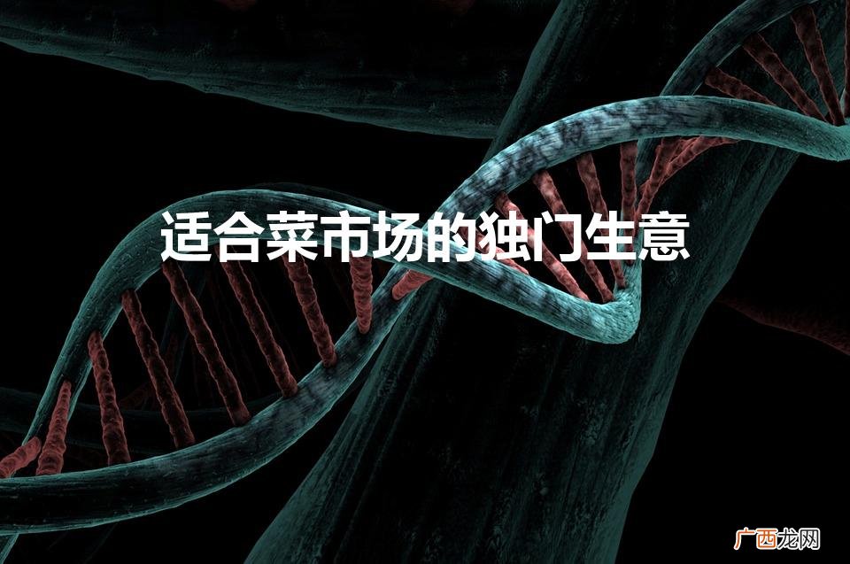 适合菜市场的独门生意（适合在菜市场9做的好生意)