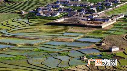 朝鲜人口2022总人数多少，朝鲜人人口2022总人数