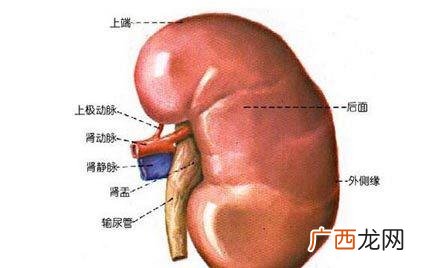 囊肿严重吗囊肿是什么原因引起的