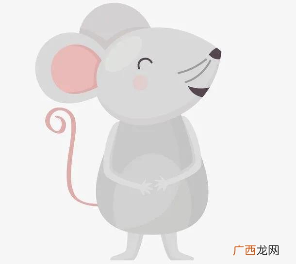 虎年12生肖运势详解 2022年最旺最顺的生肖