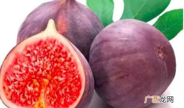 在什么季节吃无花果最好 无花果是什么季节的