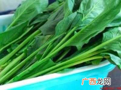 菠菜草酸怎么处理的具体操作步骤 菠菜草酸怎么处理