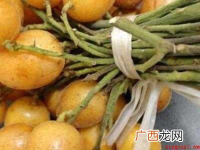 自制黄皮干制作方法的具体操作步骤 自制黄皮干制作方法