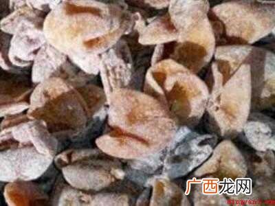 自制黄皮干制作方法的具体操作步骤 自制黄皮干制作方法