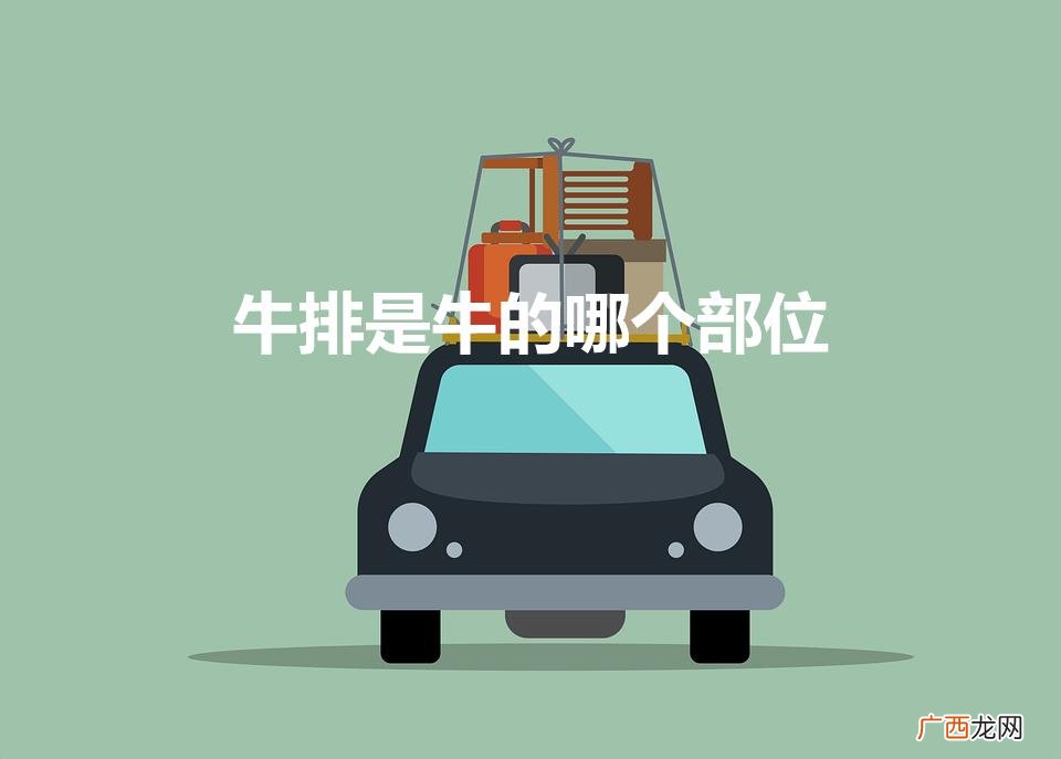 牛排是牛的哪个部位的肉 牛排是牛的哪个部位