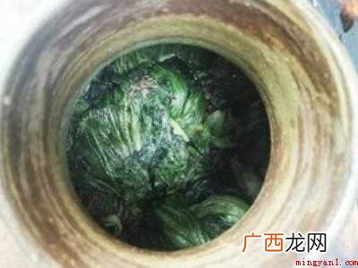 盐菜怎么腌制方法的具体操作步骤 盐菜怎么腌制方法
