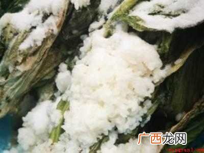 盐菜怎么腌制方法的具体操作步骤 盐菜怎么腌制方法