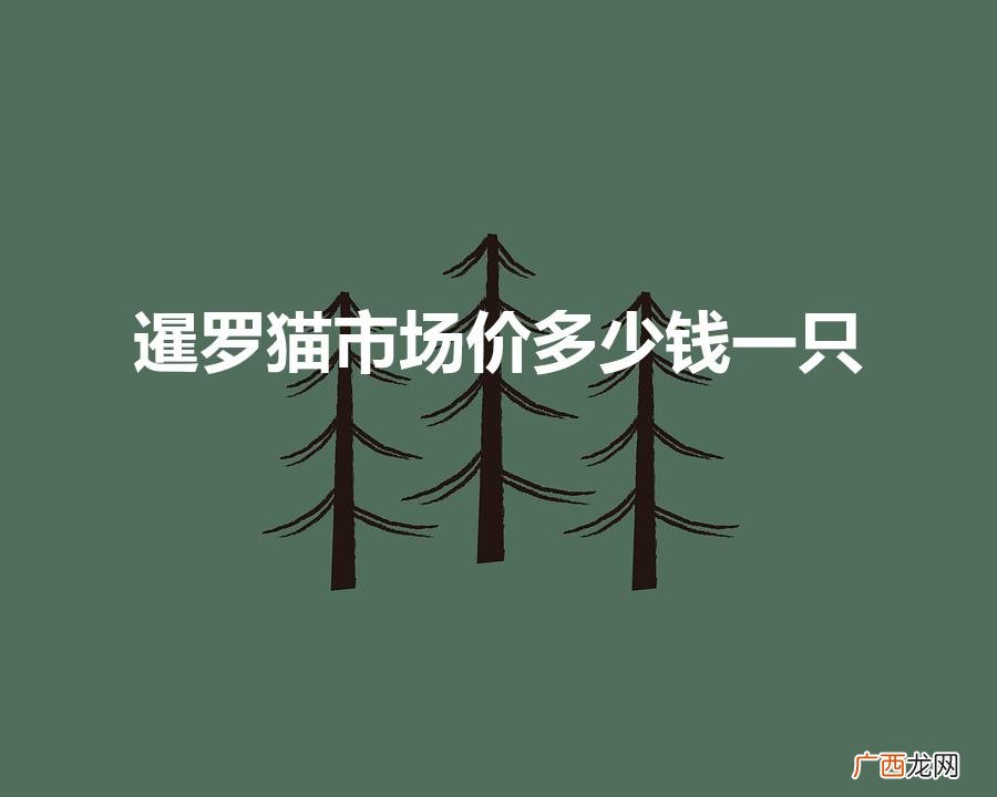 暹罗猫市场价多少钱一只(暹罗猫价格多少钱一只)