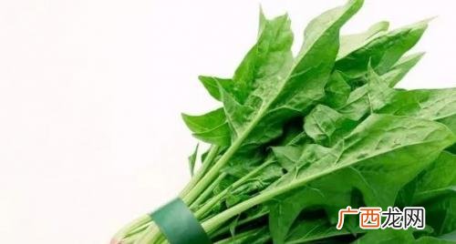 孕妇可以吃菠菜吗 怀孕吃菠菜有影响吗