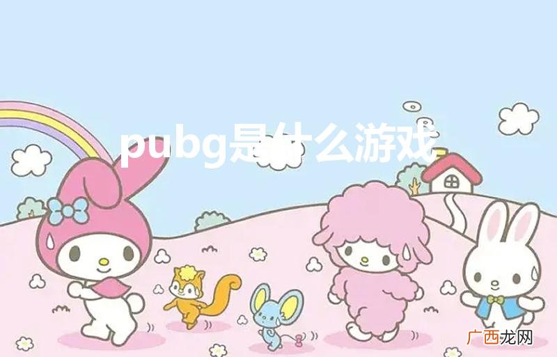 一部手机游 pubg是什么游戏
