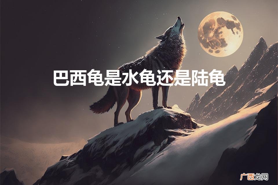 巴西龟是水龟还是陆龟（巴西龟是水龟还是陆龟呢)