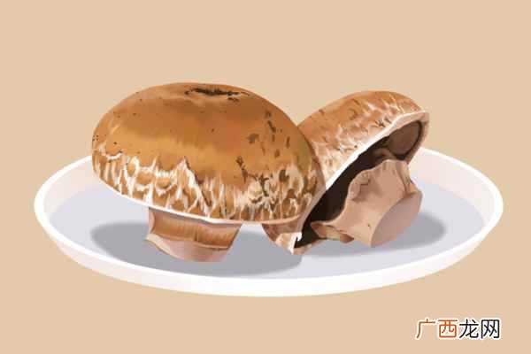 病人补血吃什么食物最好