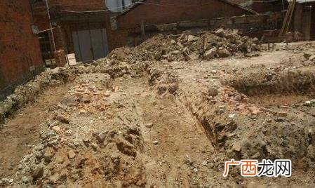 挖地基挖出蛇是福是祸