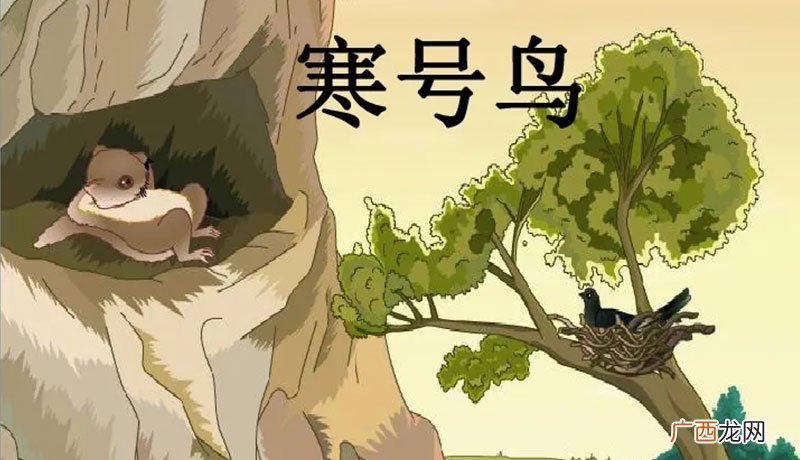 它告诉我们什么道理 寒号鸟是种什么动物