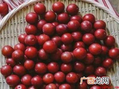 李子酿酒怎么酿的具体操作步骤 李子酿酒怎么酿