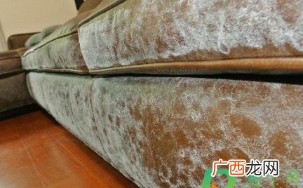沙发起霉如何去除 沙发长黑霉怎么擦掉