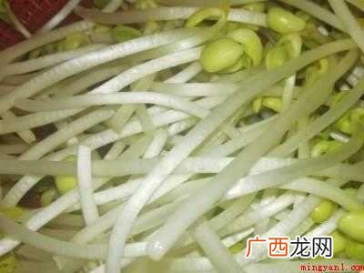 豆芽怎么处理清洗的具体操作步骤 豆芽怎么处理清洗