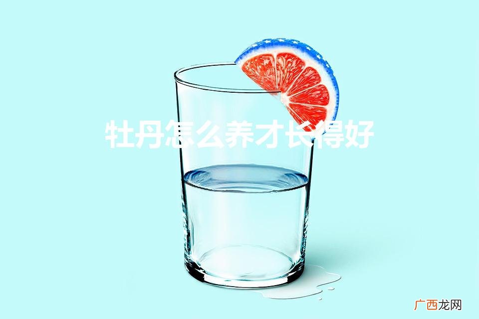 如何养好牡丹花 牡丹怎么养才长得好