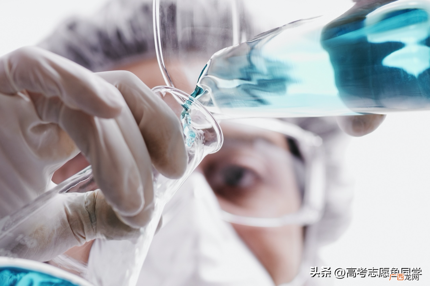 女生报考这8个专业发展前途好 女生专业就业前景排名