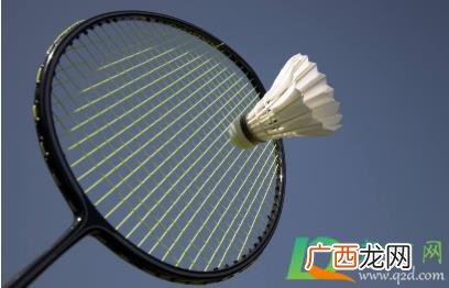 羽毛球拍磅数越高弹性越好吗 如何选择羽毛球拍磅数